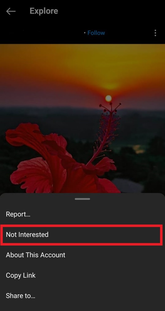 Use Not Interested option to manage eliminate unwanted content on the Instagram Explore Page