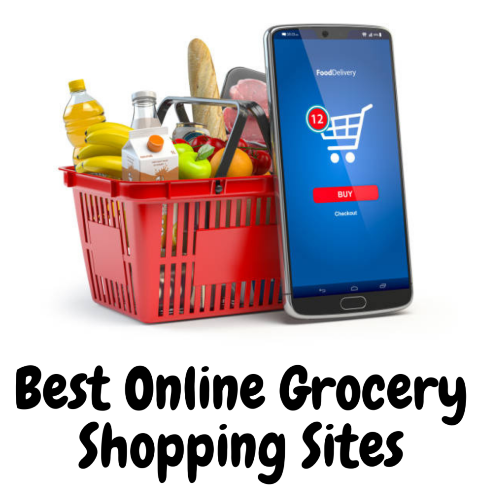 Best Online Grocery Shopping sites - A detailed list from DiGiTAL BiRYANi.