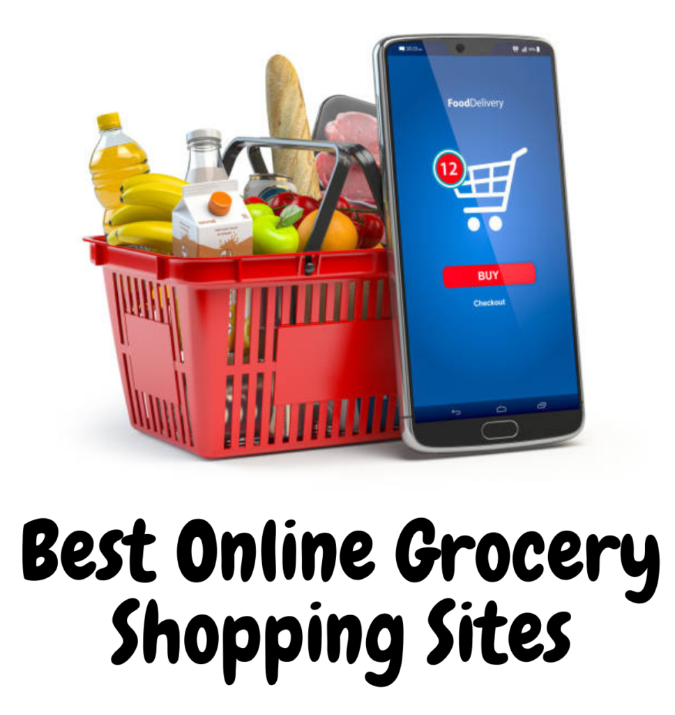 top-10-best-online-grocery-shopping-sites-in-india-in-2024