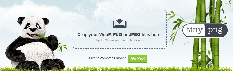 TinyPNG, an online image compressor tool, helps to reduce image size online by maintaining the original quality of the image to a great level.