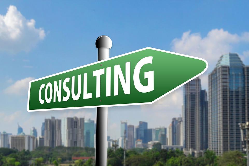 Offer consulting services to earn money.