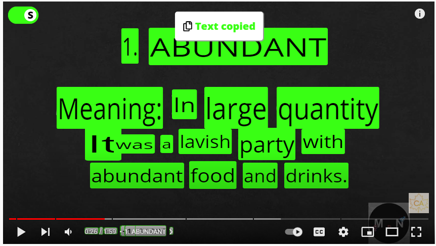 Pause the video and toggle on the Selectext button. Copy the text from the video.