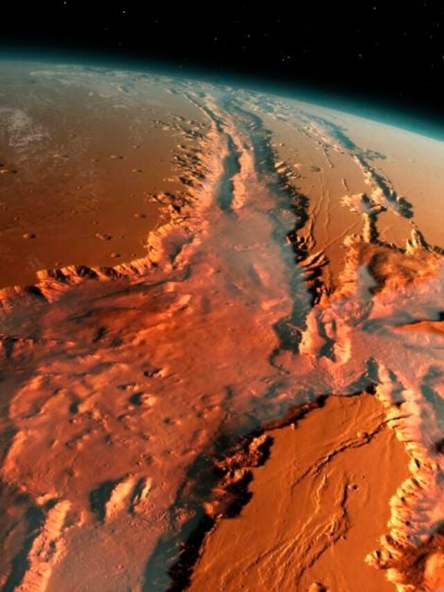 Nasa Ever Given NASA: Give Us Back Our Moon Dust and Cockroaches - DiGiTAL BiRYANi