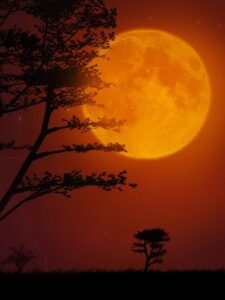 Read more about the article Super Strawberry Moon 2022 – Everything You Need To Know