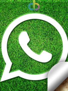 Read more about the article Tips to Share Fake Live Location on WhatsApp